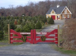 Post & Beam Barn