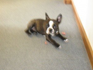 A junior staff member.