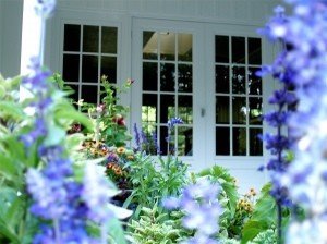 Wilcox Garden Design