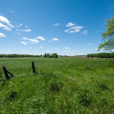 Buying Land